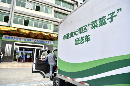 8月第一周，清遠(yuǎn)城市配送關(guān)鍵詞聚焦“菜籃子”保障力
